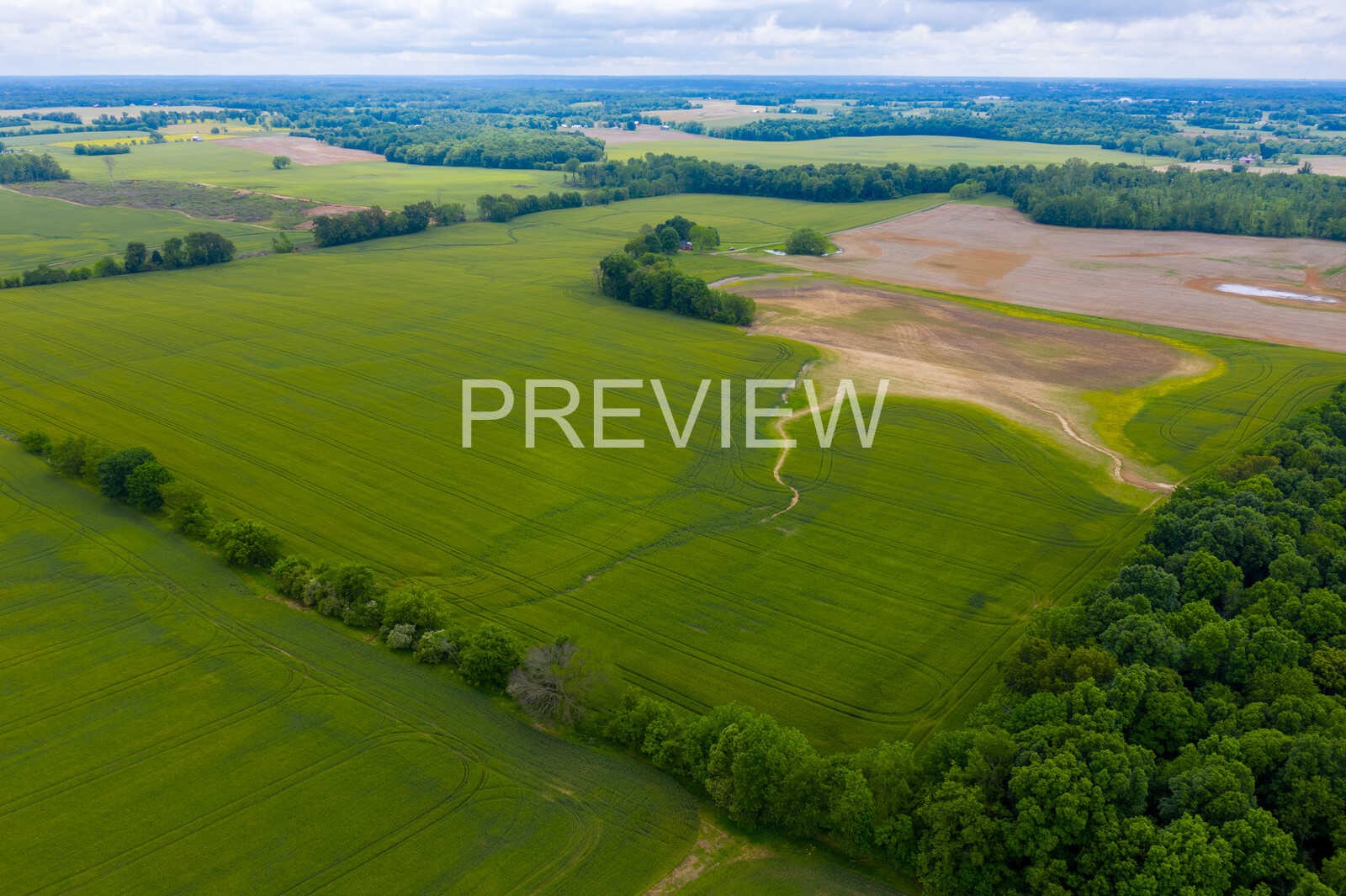 5264 James W Long Road Springfield, TN 37172 - Photo 7 of 25 Gallery Image 7