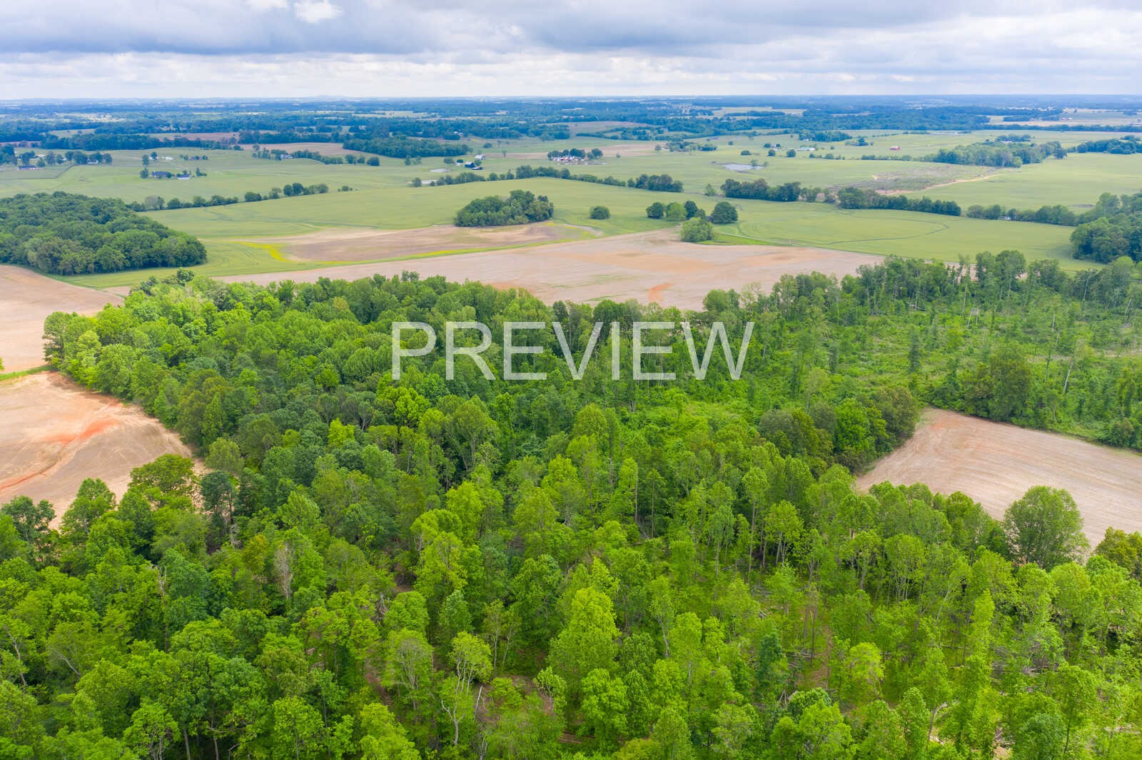 5264 James W Long Road Springfield, TN 37172 - Photo 10 of 25 Gallery Image 10