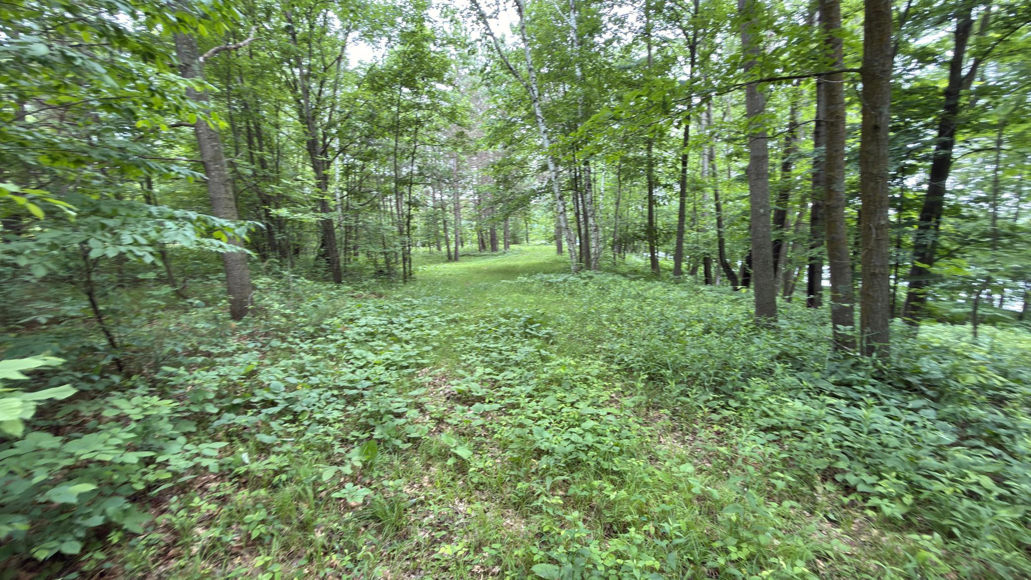 765 270th Cty Road Frederic, WI 54837 - Photo 6 of 17