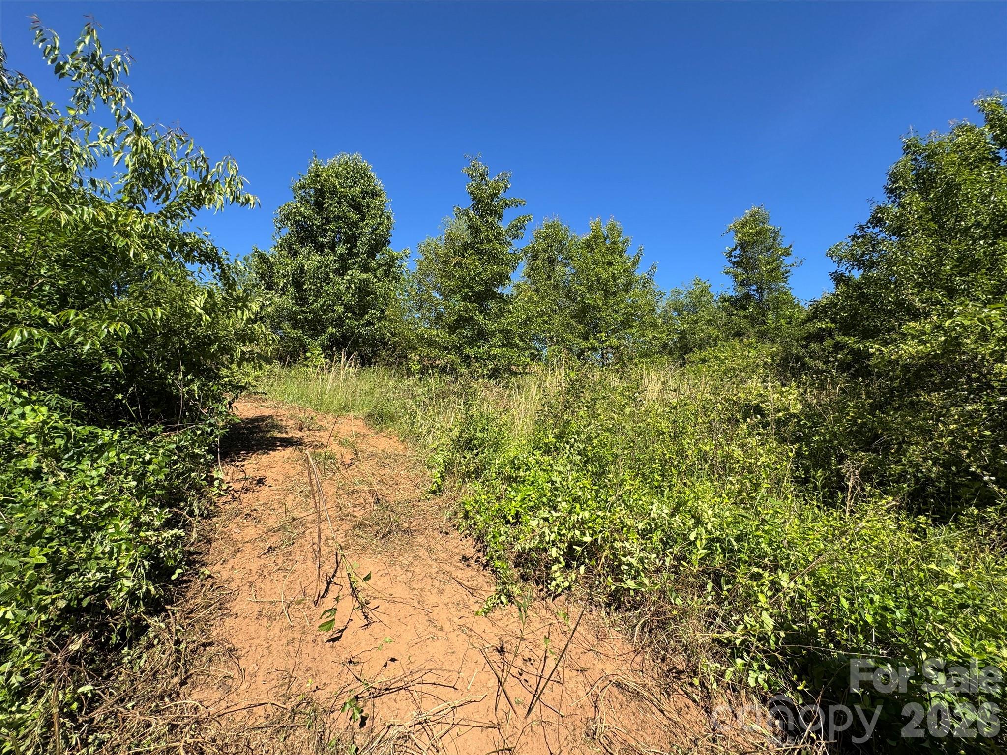 Tbd Duckett Road Candler, NC 28715 - Photo 7 of 17