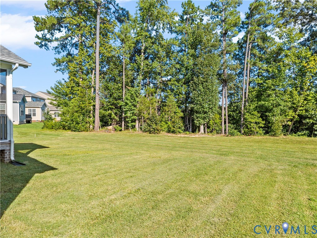 8819 Roberta Road Mechanicsville, VA 23116 - Photo 62 of 79 Expansive lawn with mature trees bordering the pro