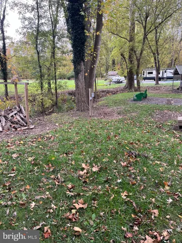 a view of a yard with a tree