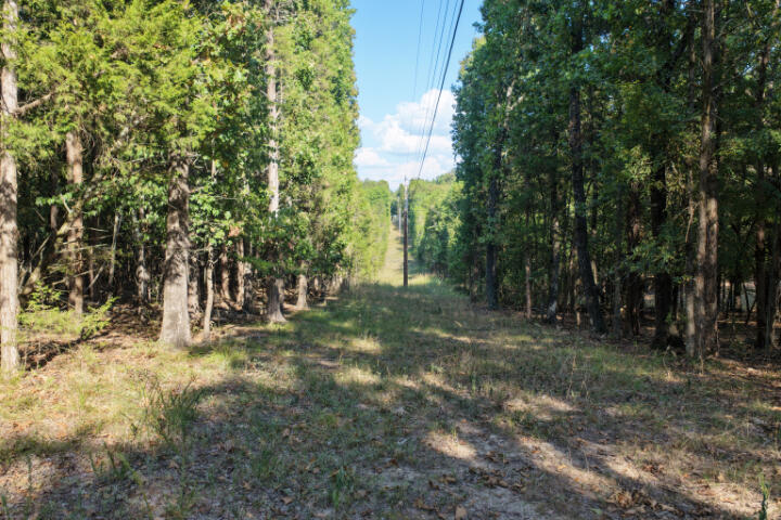 0 Lazy Acres Road Protem, MO 65733 - Photo 2 of 28 dji_fly_20260904_163846_0160_17888737425