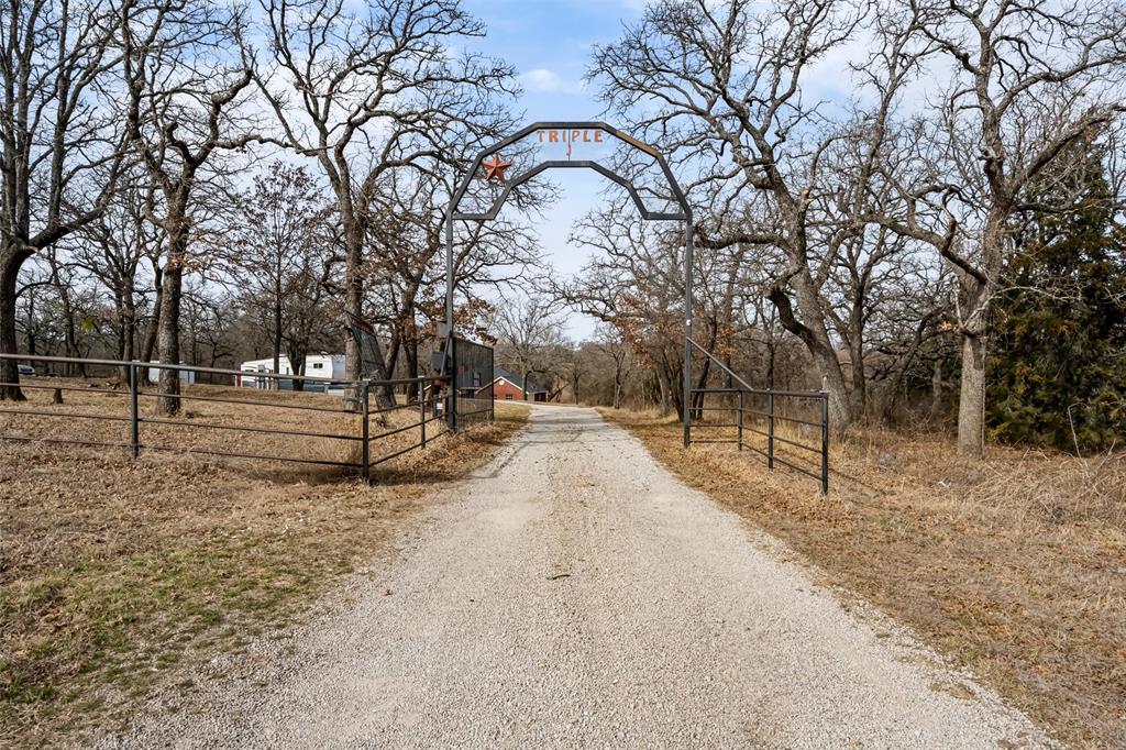 a view of park with trees