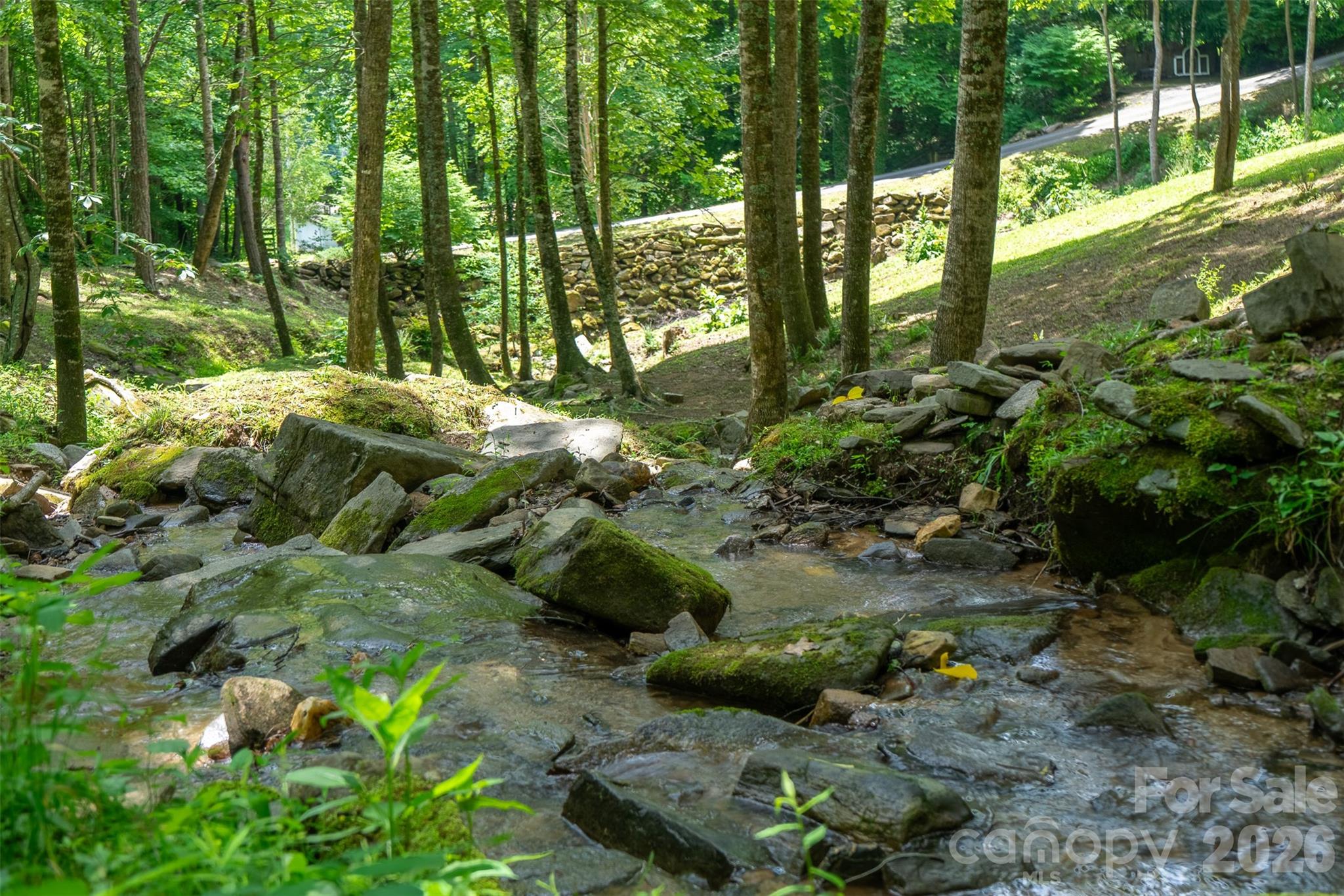 77 Pigeon Creek Road Bryson City, NC 28713 - Photo 4 of 47