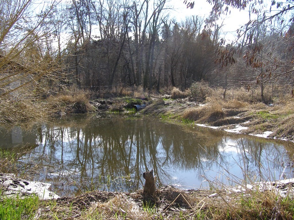 200 7 Mile Road Walla Walla, WA 99362 - Photo 8 of 10 Gallery Image 8