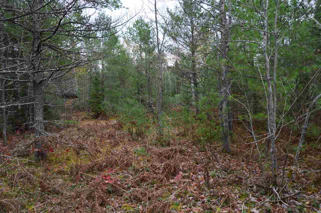 Xxx Chamberlain Road Munising, MI 49862 - Photo 9 of 29 1894812-8.JPG