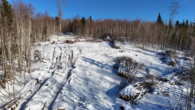 $125,000 | Lot 11 Blair Hill Road, Greenville, ME 04441