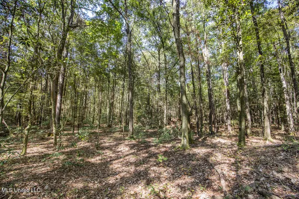 $650,000 | 4 Oxford-Meadville Road, Gloster, MS 39638
