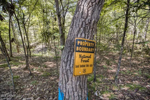 $650,000 | 4 Oxford-Meadville Road, Gloster, MS 39638