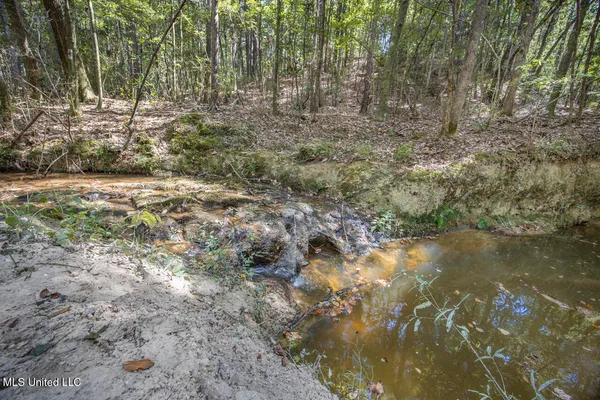 $650,000 | 4 Oxford-Meadville Road, Gloster, MS 39638