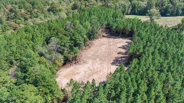 $650,000 | 4 Oxford-Meadville Road, Gloster, MS 39638