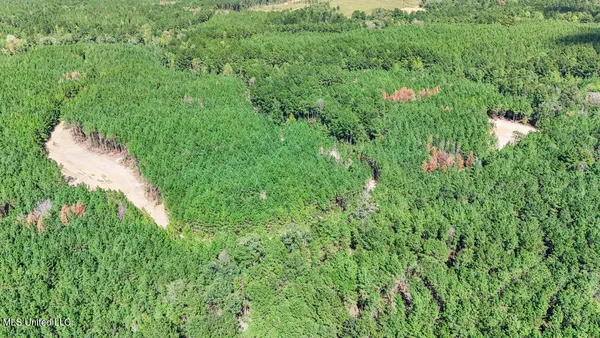 $650,000 | 4 Oxford-Meadville Road, Gloster, MS 39638