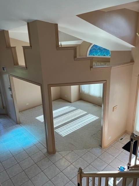 915 Harmoni Lane New Lenox, IL 60451 - Photo 15 of 38