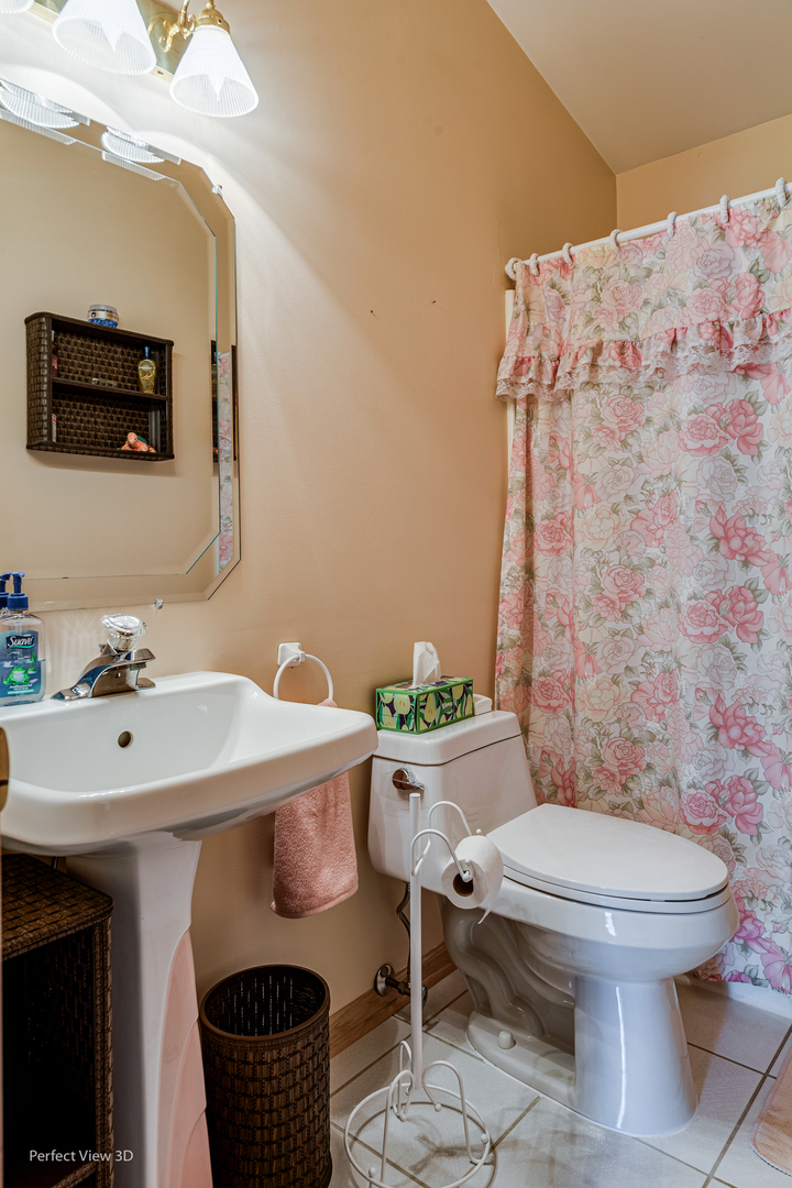 915 Harmoni Lane New Lenox, IL 60451 - Photo 36 of 38 a bathroom with a sink a toilet and mirror