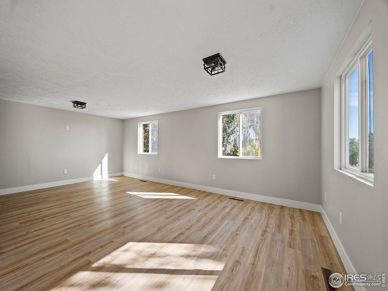 829 Independence Drive Longmont, CO 80504 - Photo 16 of 31 Spacious living space for relaxing or entertaining