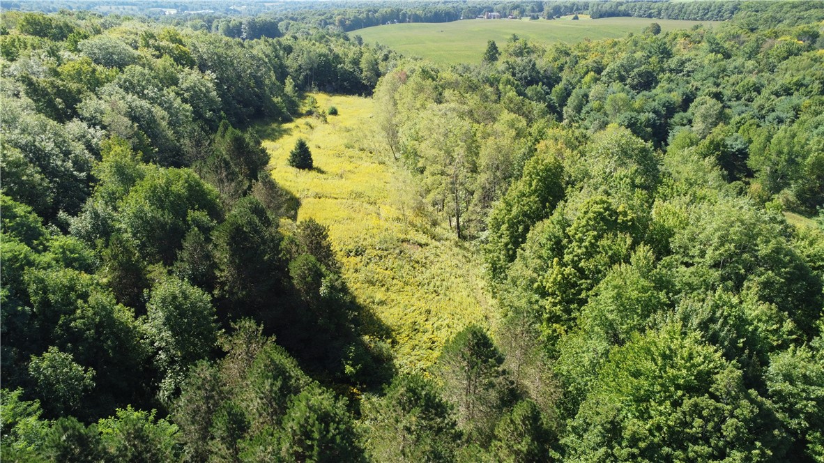 6804 Mead Hill Road Springwater, NY 14572 - Photo 24 of 29