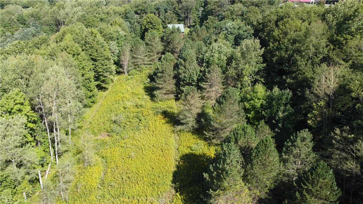 6804 Mead Hill Road Springwater, NY 14572 - Photo 26 of 29