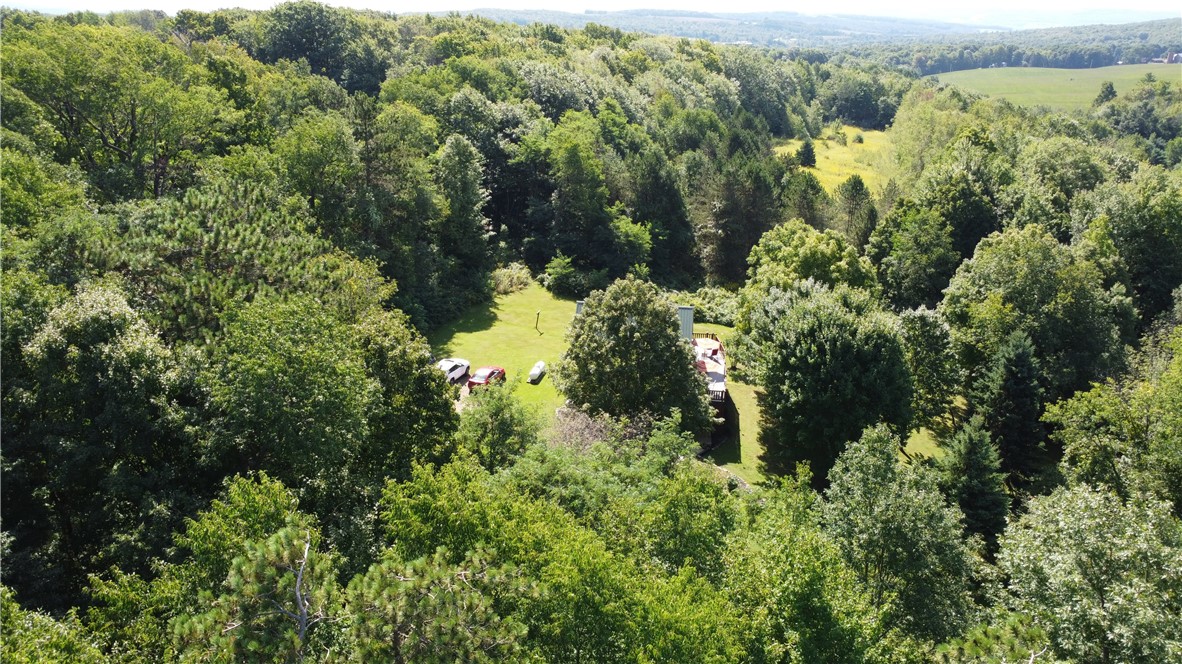 6804 Mead Hill Road Springwater, NY 14572 - Photo 29 of 29