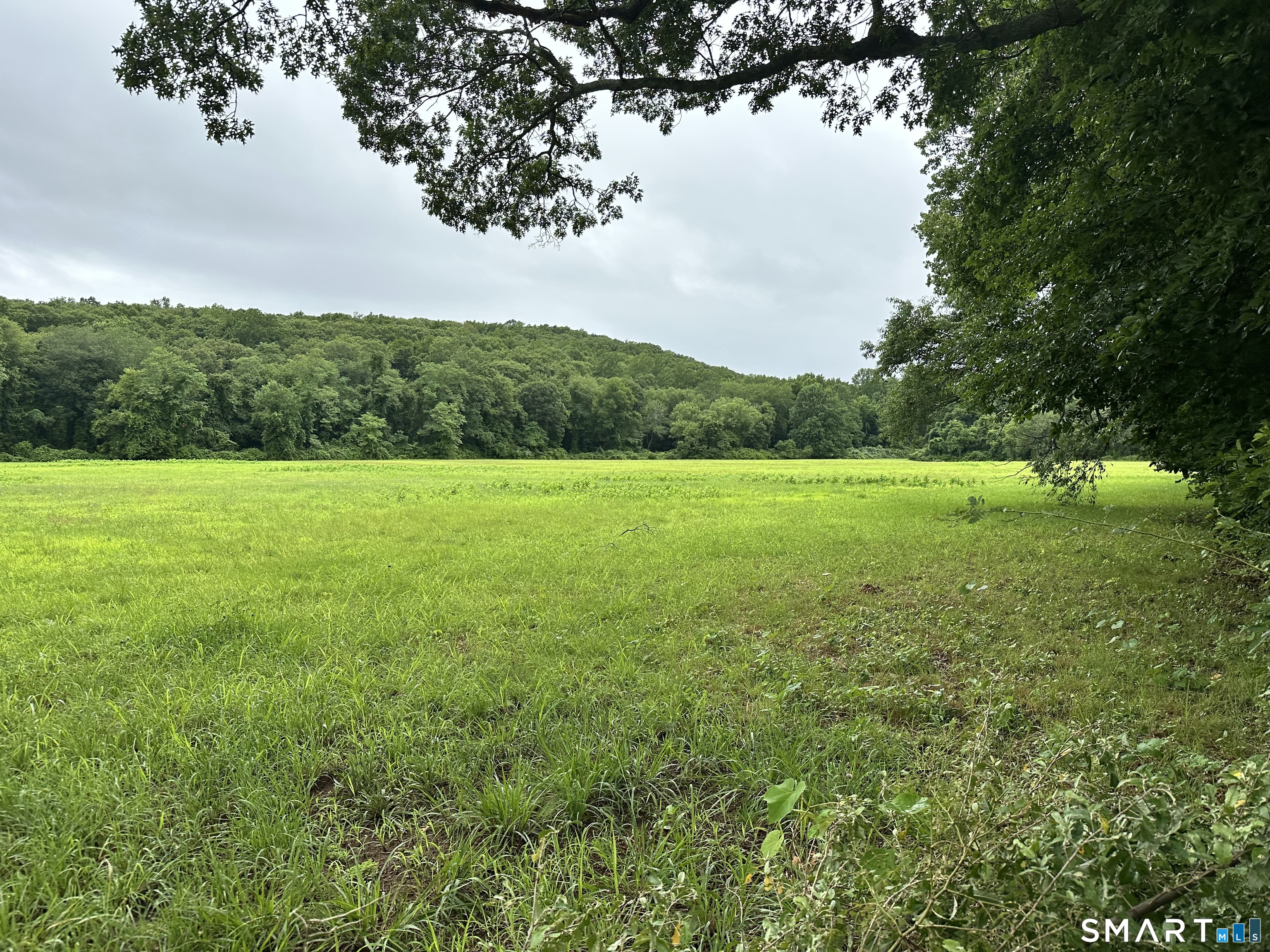 Westbrook Road Ivoryton, CT 06442 - Photo 4 of 20 View from the gate looking northwest over the level & open 16 ACRES framed by another 17 wooded ACRES as the backdrop.