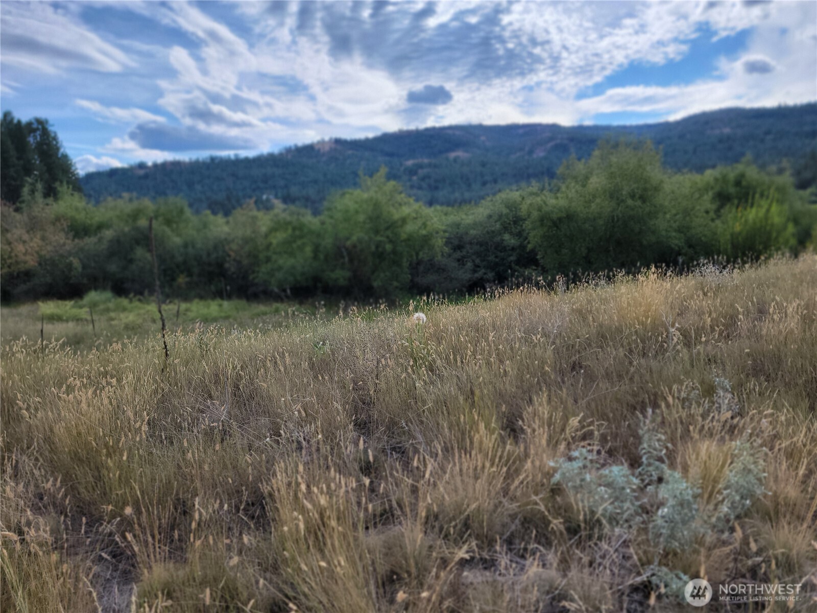 0 Curlew Drive Republic, WA 99166 - Photo 11 of 13 a view of a lush green forest with a lake