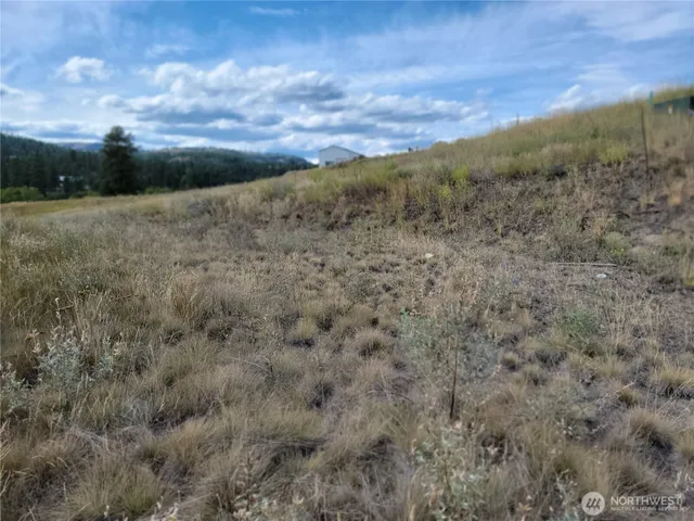 a view of a field with trees in background