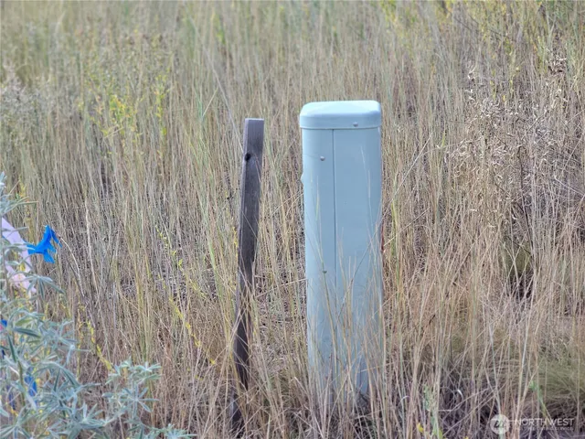 a close view of shower tap