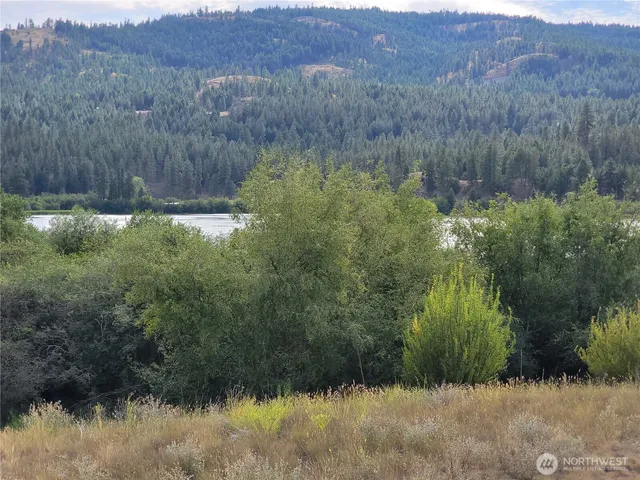 a view of a back yard