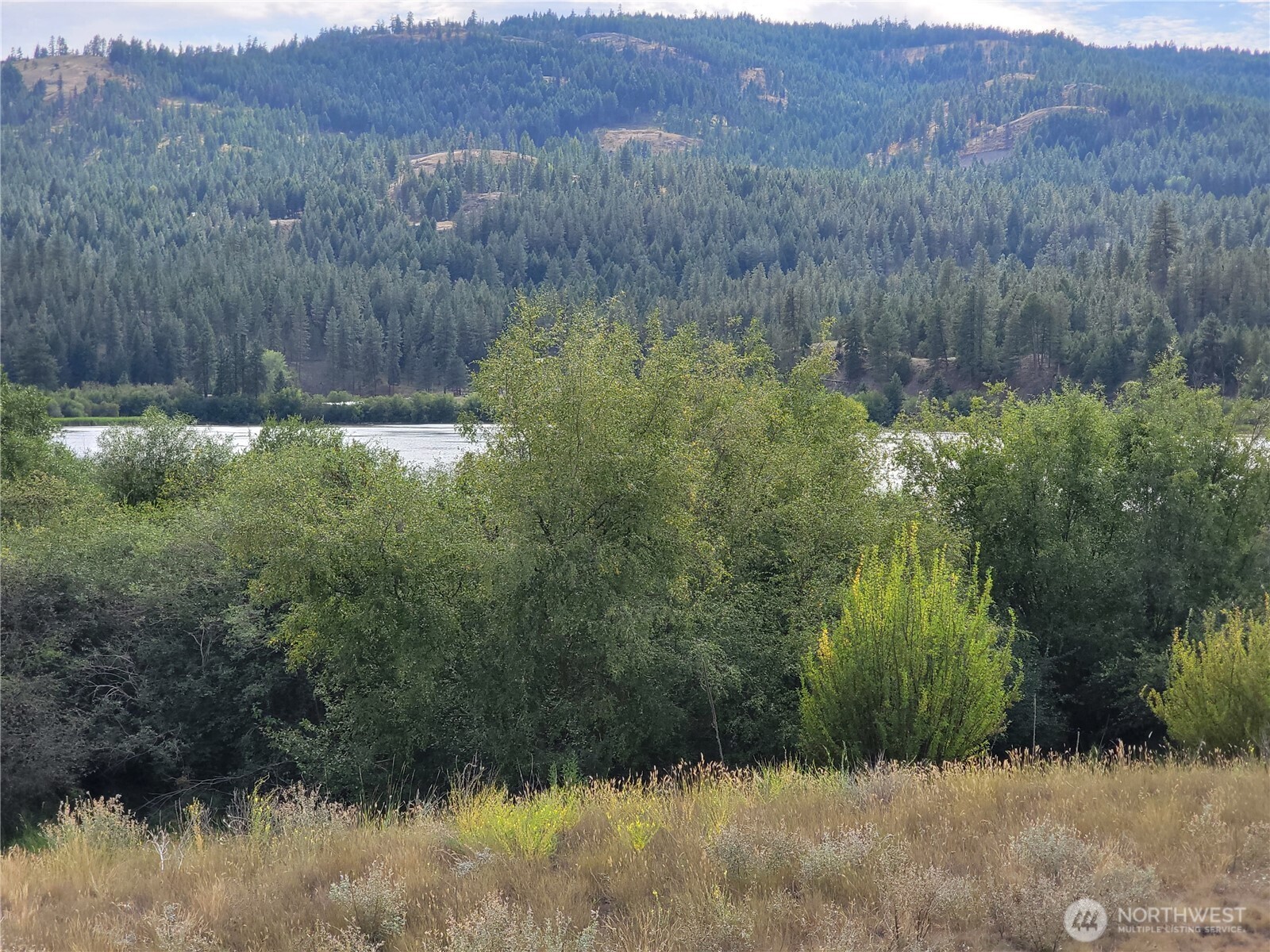 0 Curlew Drive Republic, WA 99166 - Photo 2 of 13 a view of a back yard
