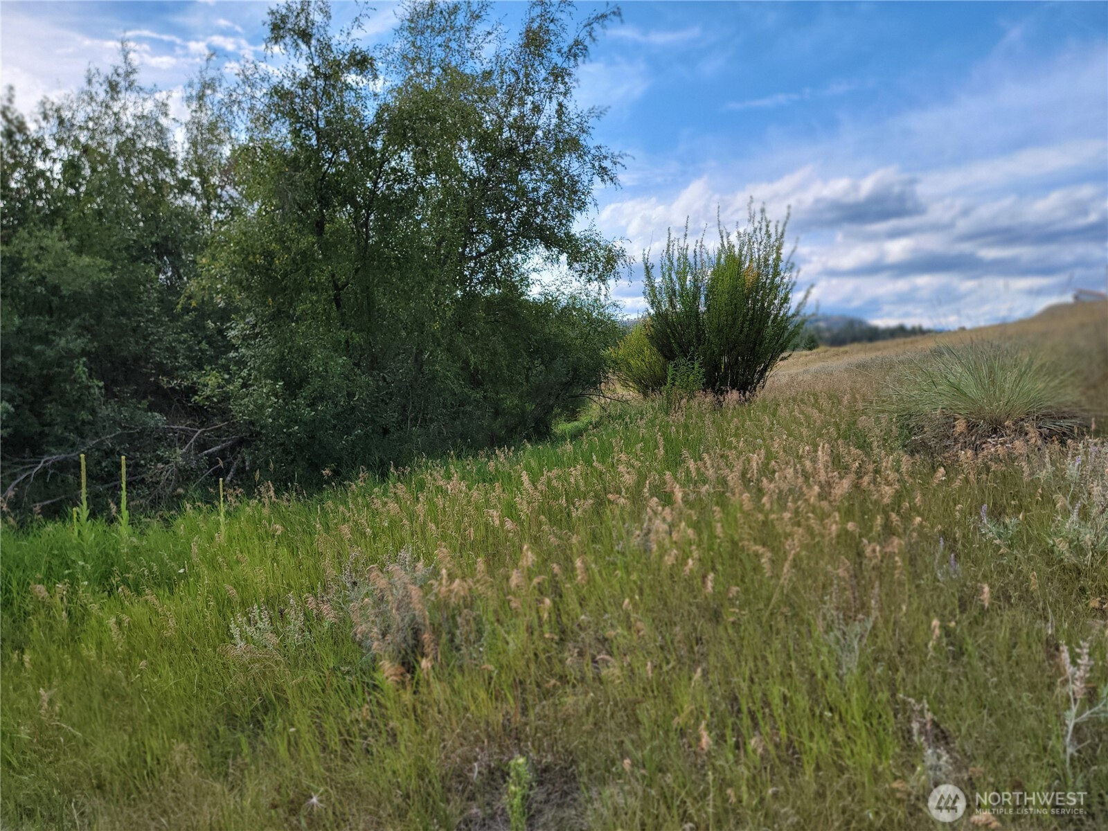 0 Curlew Drive Republic, WA 99166 - Photo 4 of 13 a view of a garden