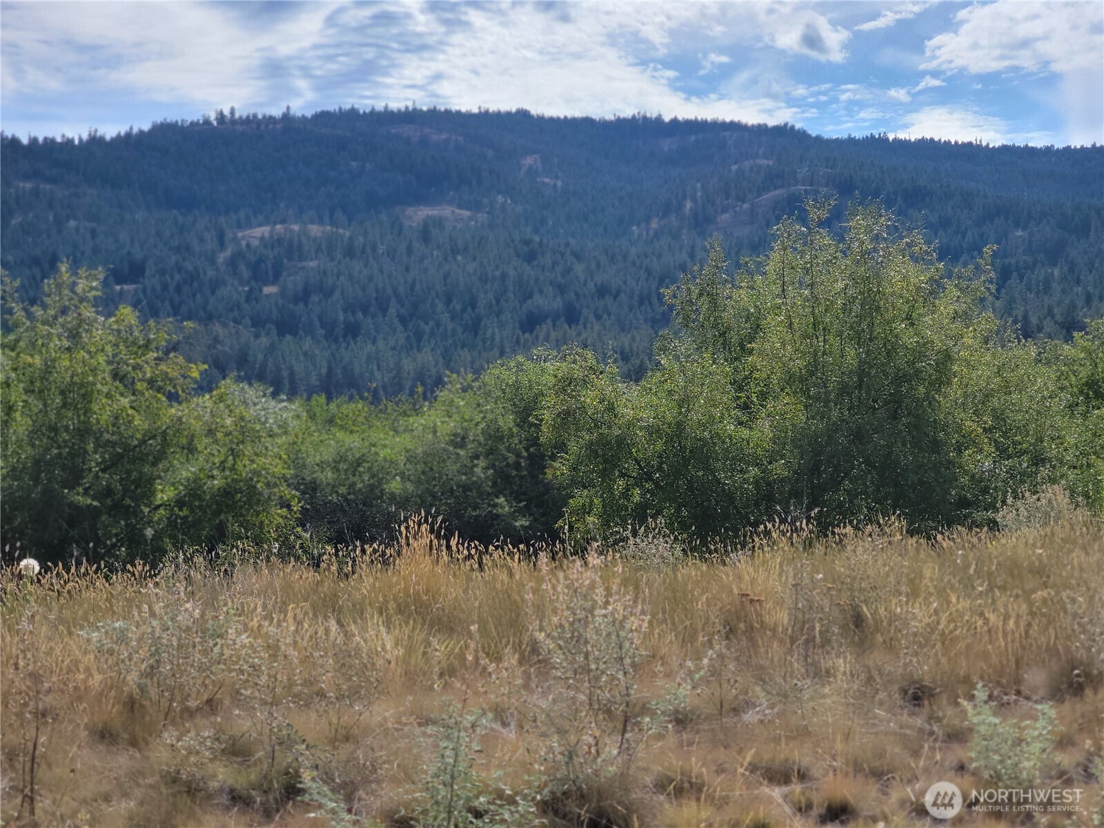 0 Curlew Drive Republic, WA 99166 - Photo 5 of 13 a view of a lush green field