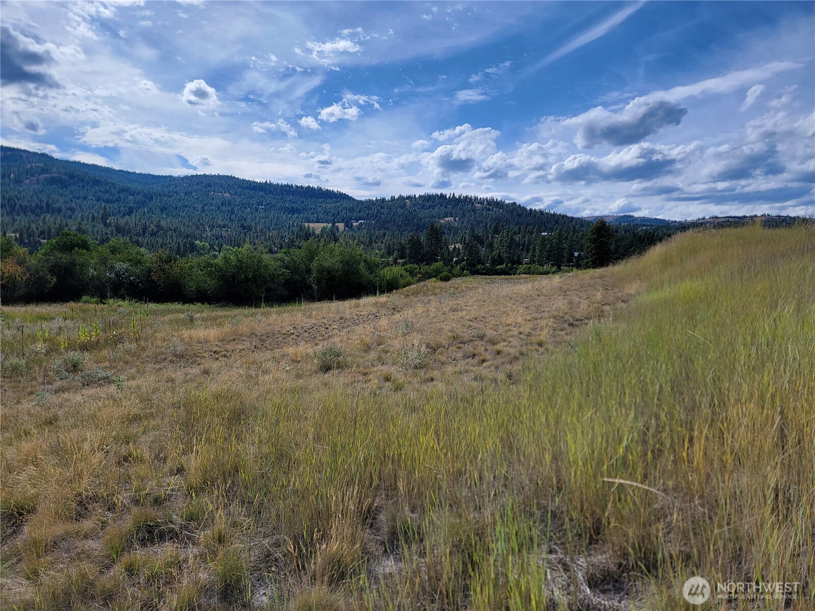 0 Curlew Drive Republic, WA 99166 - Photo 6 of 13 a view of an outdoor space and a lake view