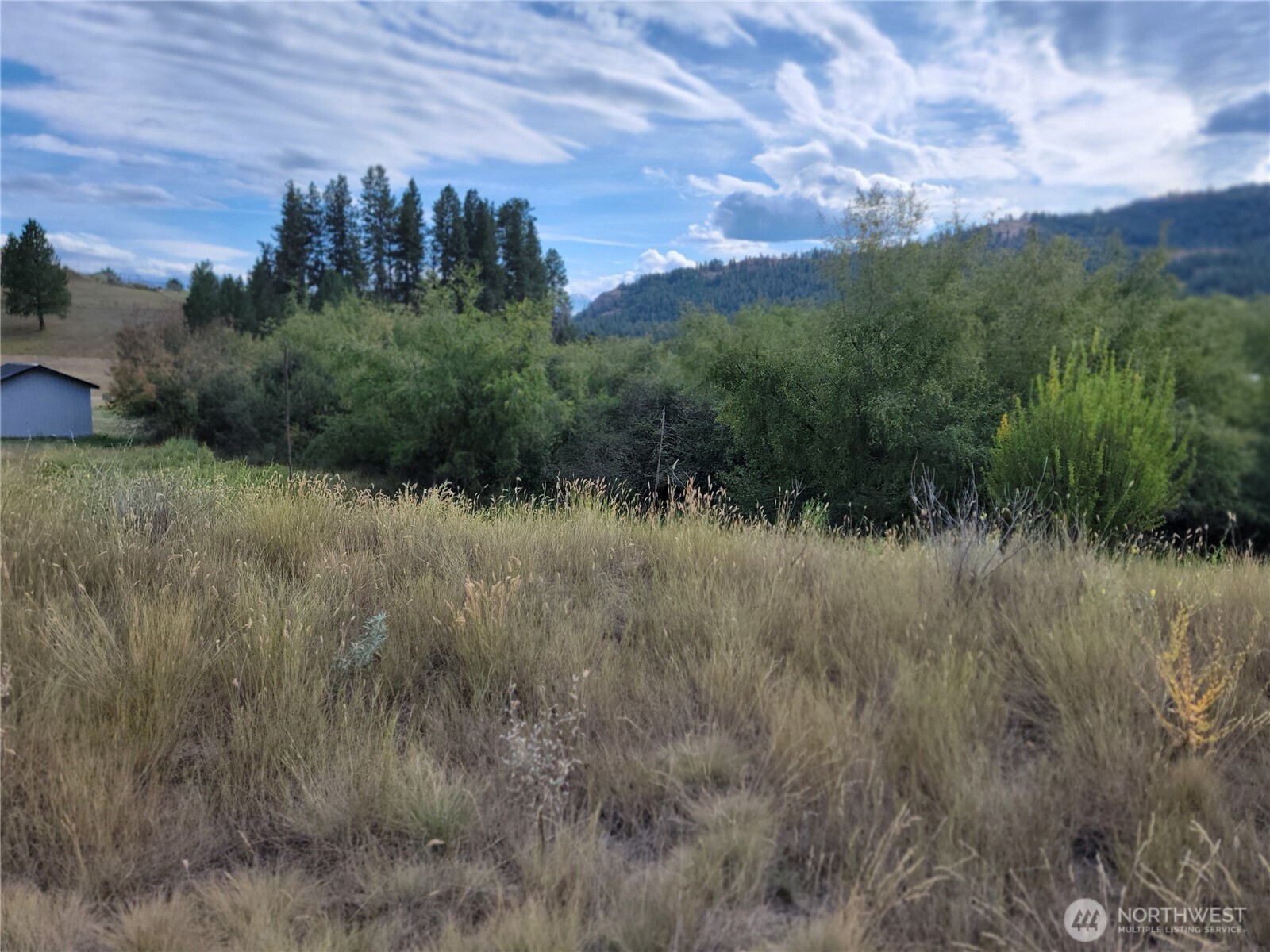 0 Curlew Drive Republic, WA 99166 - Photo 8 of 13 a view of a lush green field