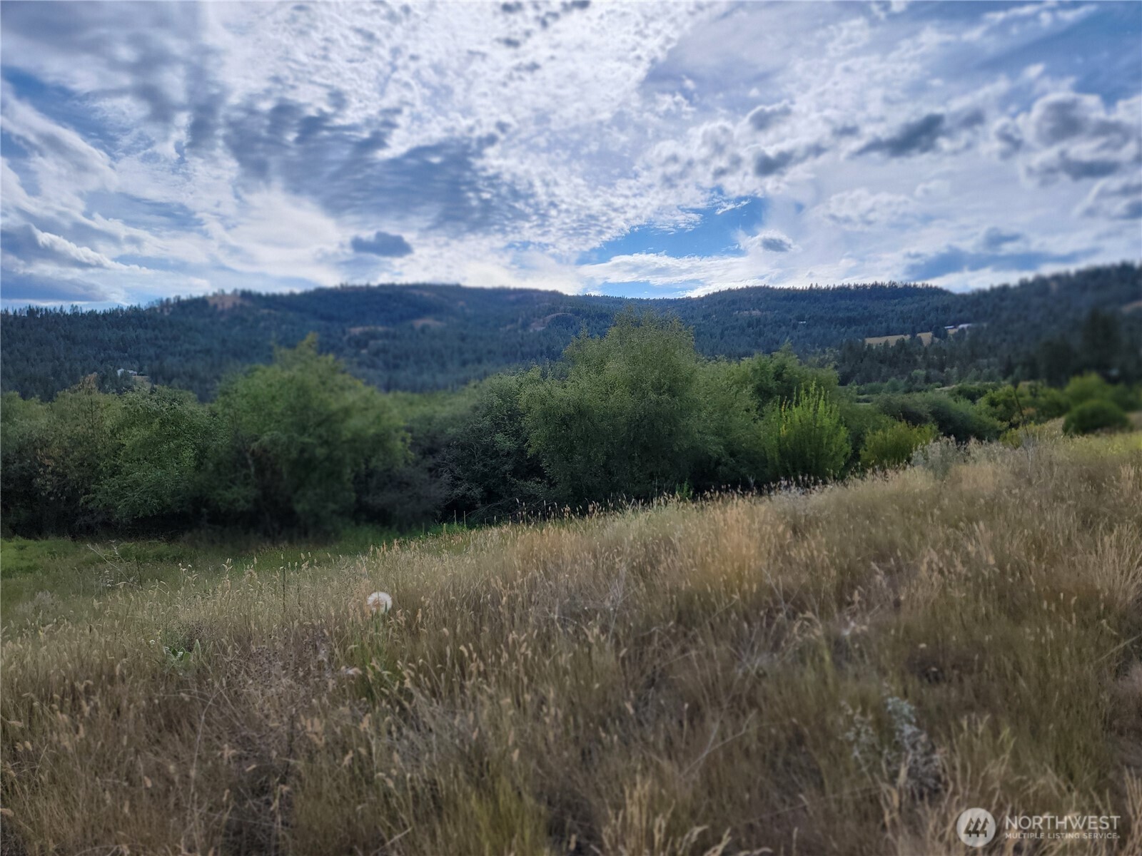 0 Curlew Drive Republic, WA 99166 - Photo 10 of 13 a view of a green field with mountains in the background
