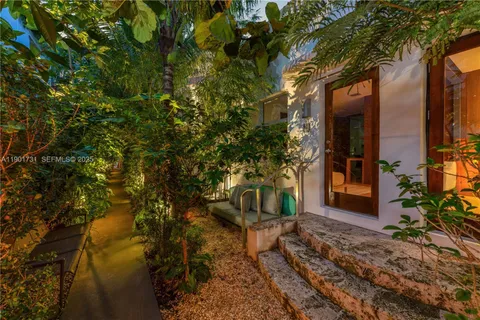 a view of a pathway with plants and large trees