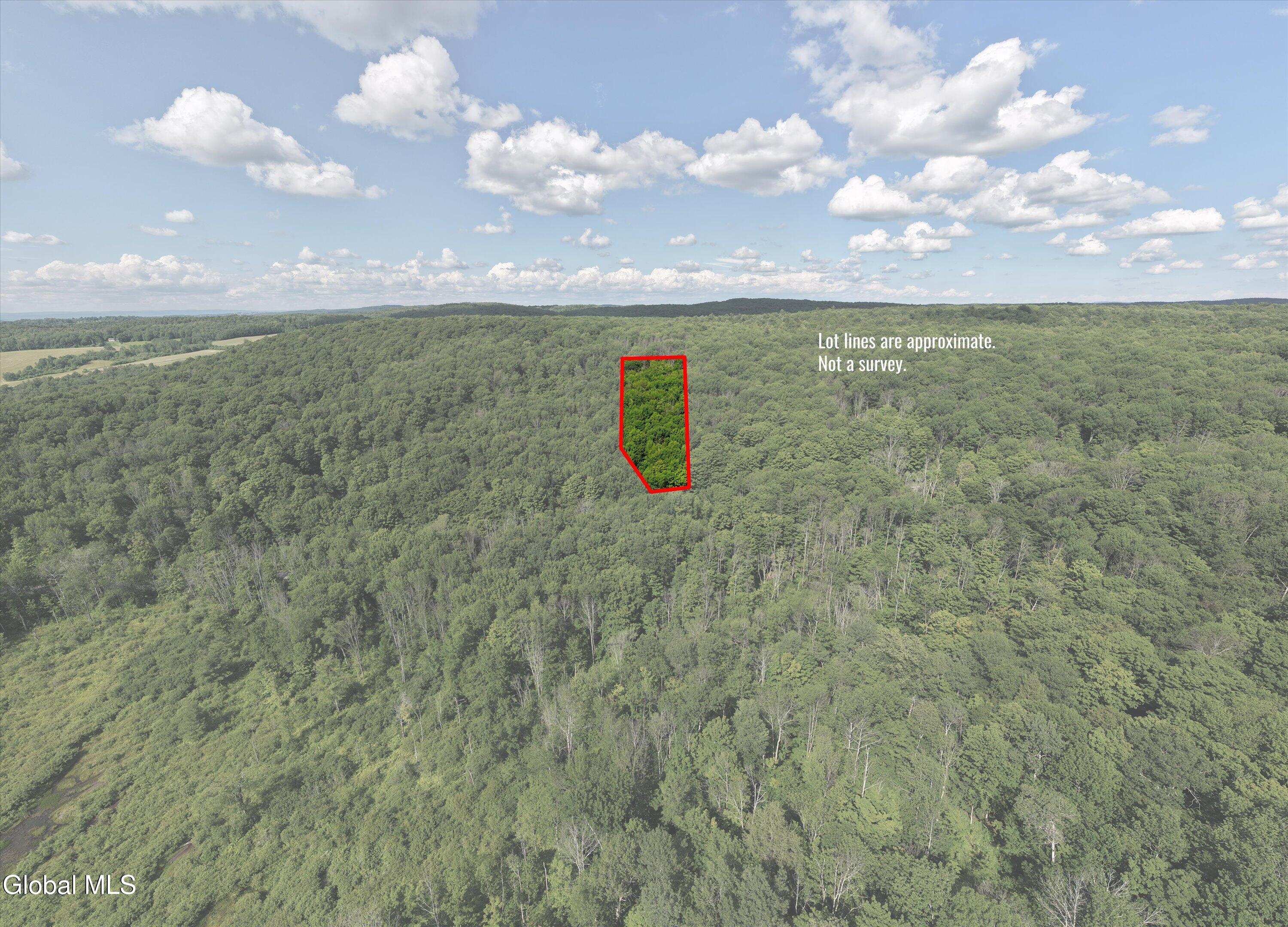 L27.5 L27.5 Gorton Lake Road Waterville, NY 13480 - Photo 12 of 15 12-Gorton Lake Rd-14