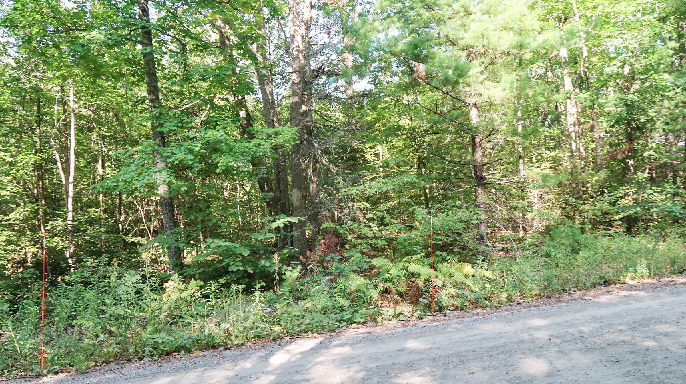 0 Hayden Road Augusta, ME 04330 - Photo 8 of 11 IMG_0510