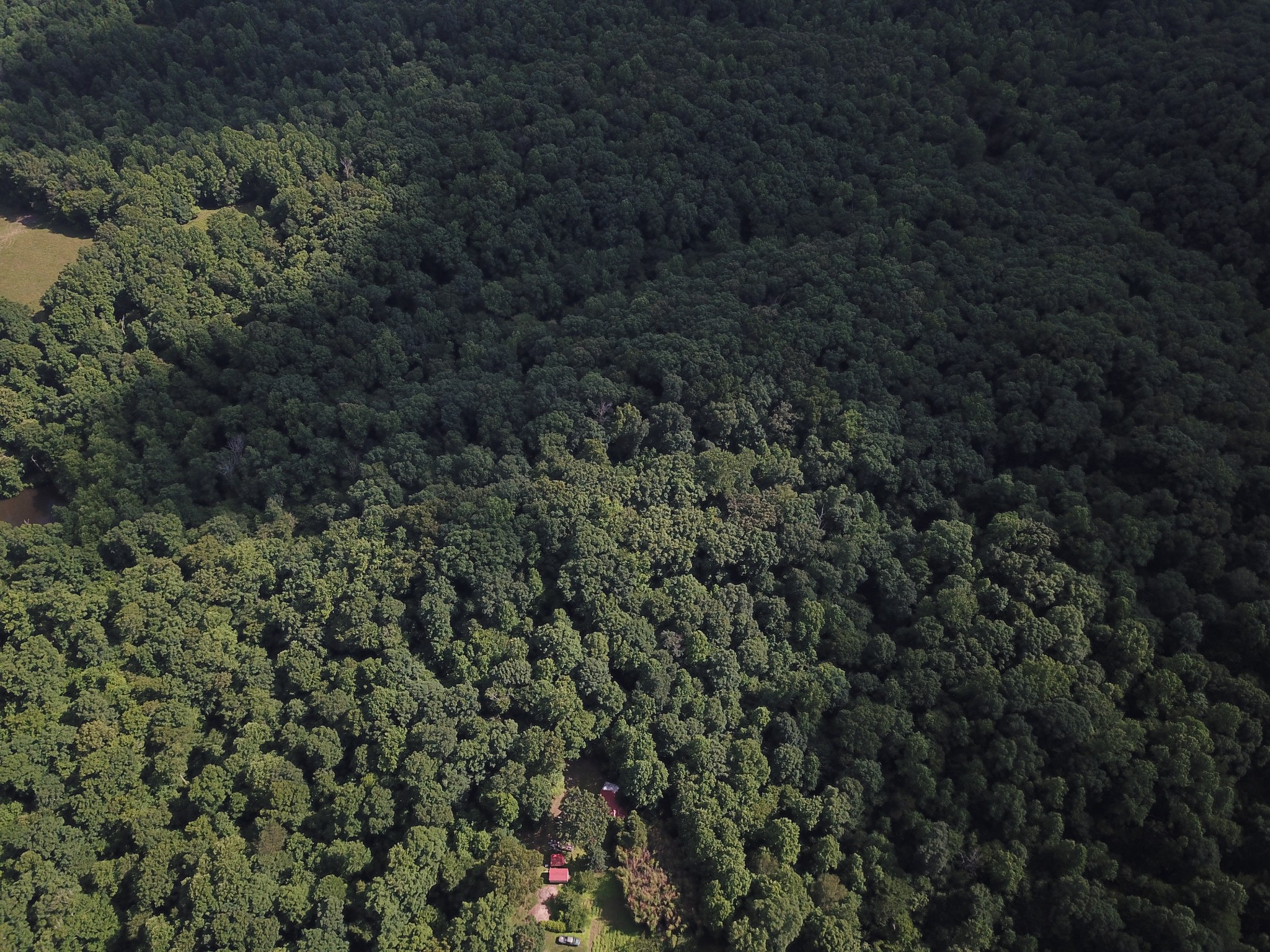 0 Norton Branch Road Beechgrove, TN 37018 - Photo 21 of 36 Gallery Image 21
