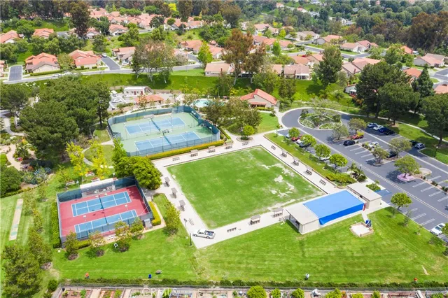 an aerial view of a tennis ground and a large tree