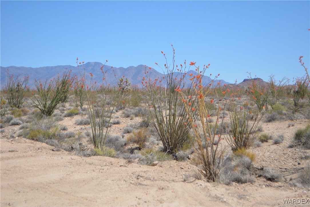 245-24-107 South Rainbow Road Yucca, AZ 86438 - Photo 85 of 91