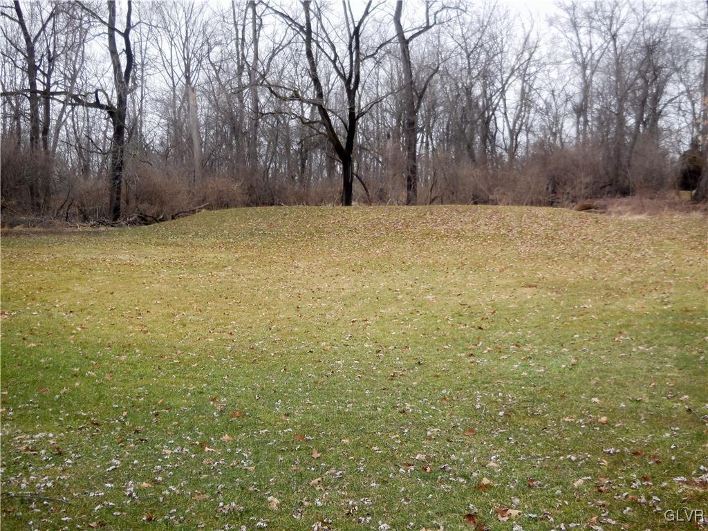 6425 Jacksonville Road Bath, PA 18014 - Photo 41 of 42 another view of yard