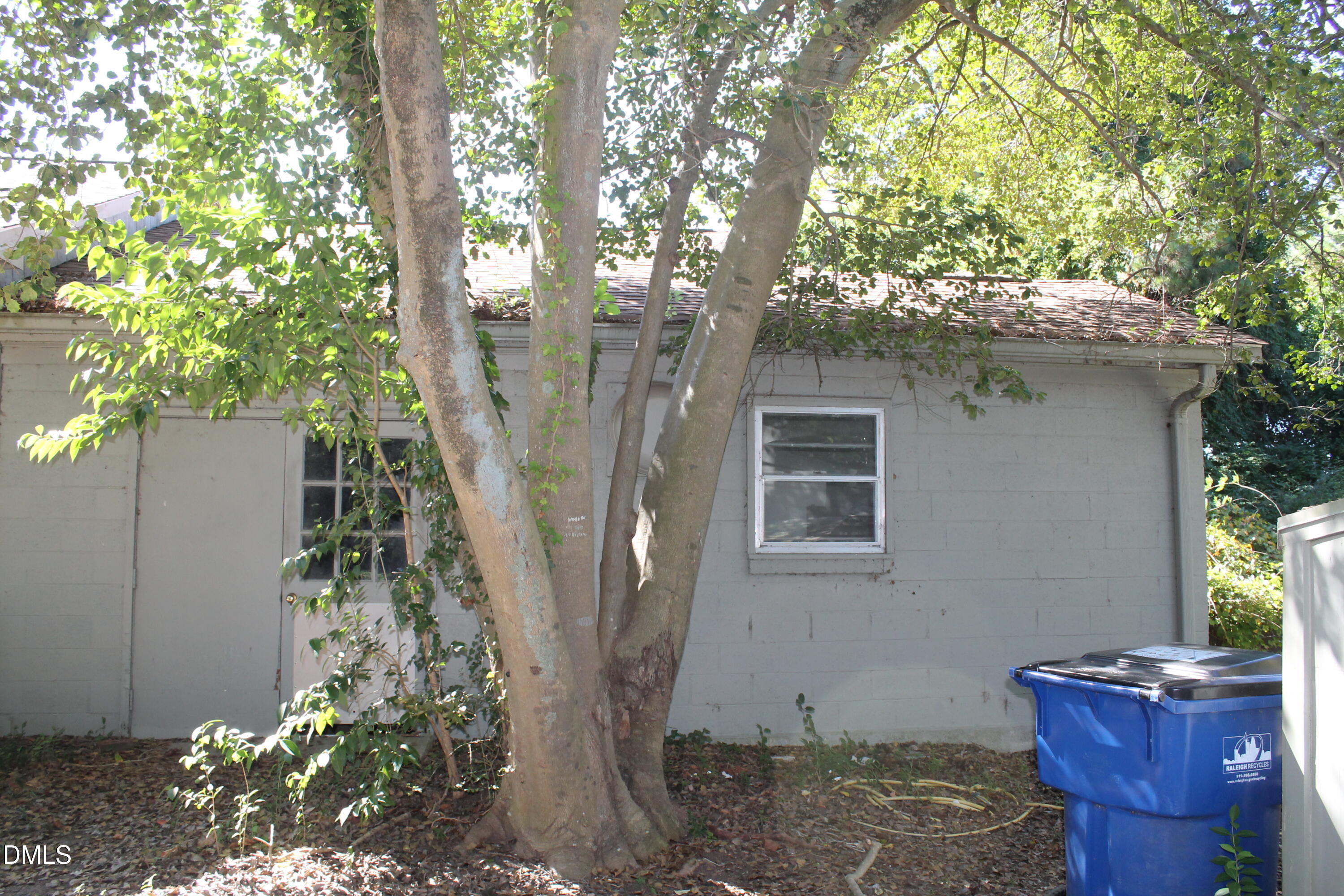 a view of a house with a tree in front of it