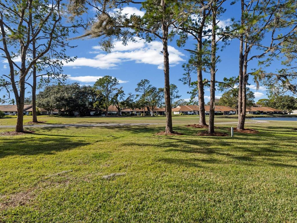 3353 Trophy Boulevard, Unit 3 New Port Richey, FL 34655 - Photo 2 of 58