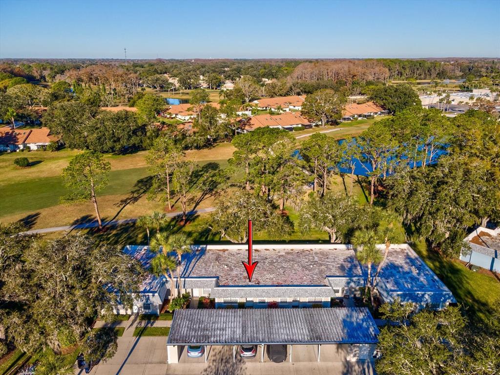 3353 Trophy Boulevard, Unit 3 New Port Richey, FL 34655 - Photo 37 of 58