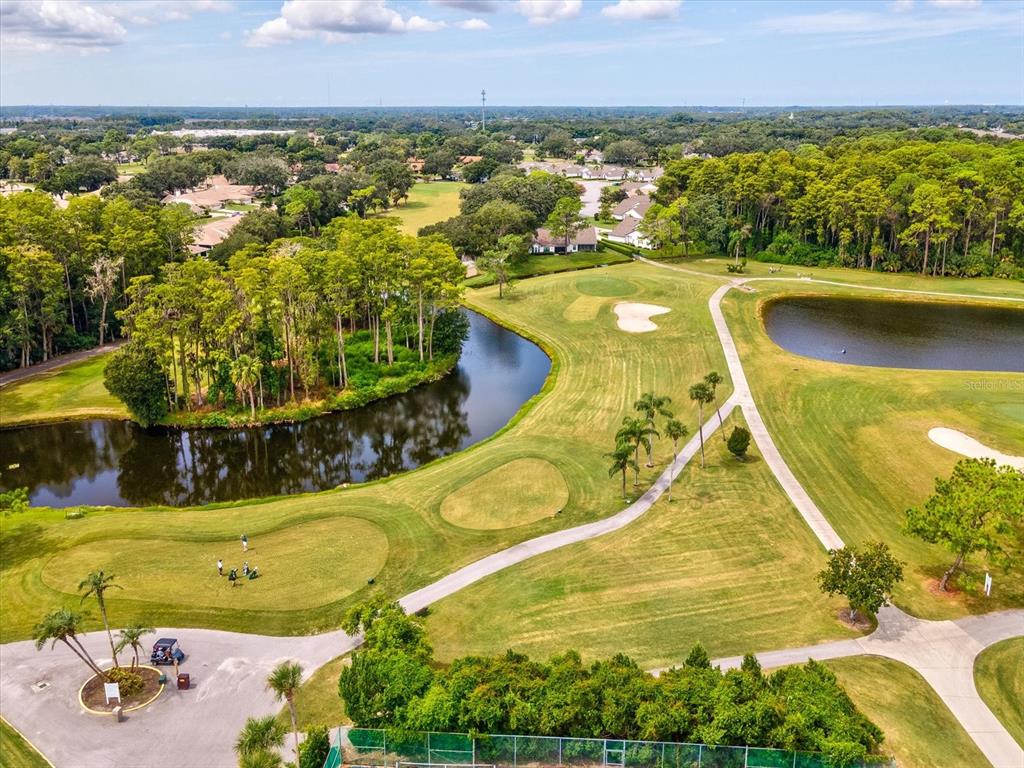 3353 Trophy Boulevard, Unit 3 New Port Richey, FL 34655 - Photo 48 of 58