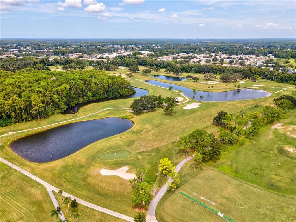 3353 Trophy Boulevard, Unit 3 New Port Richey, FL 34655 - Photo 53 of 58