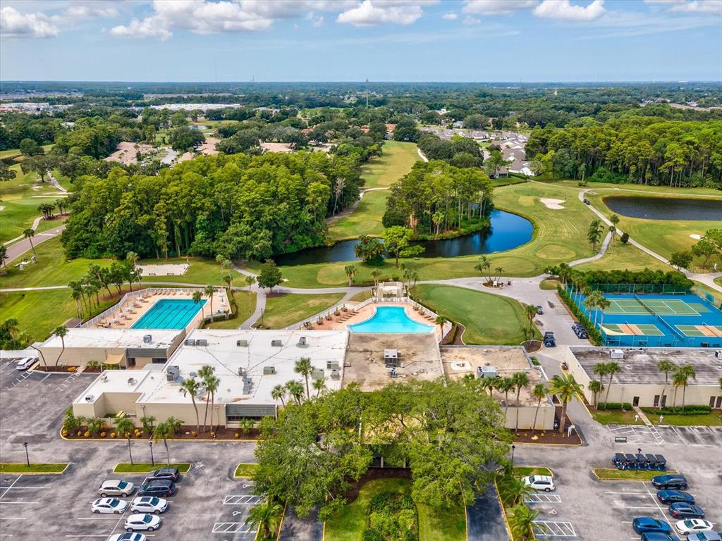 3353 Trophy Boulevard, Unit 3 New Port Richey, FL 34655 - Photo 54 of 58