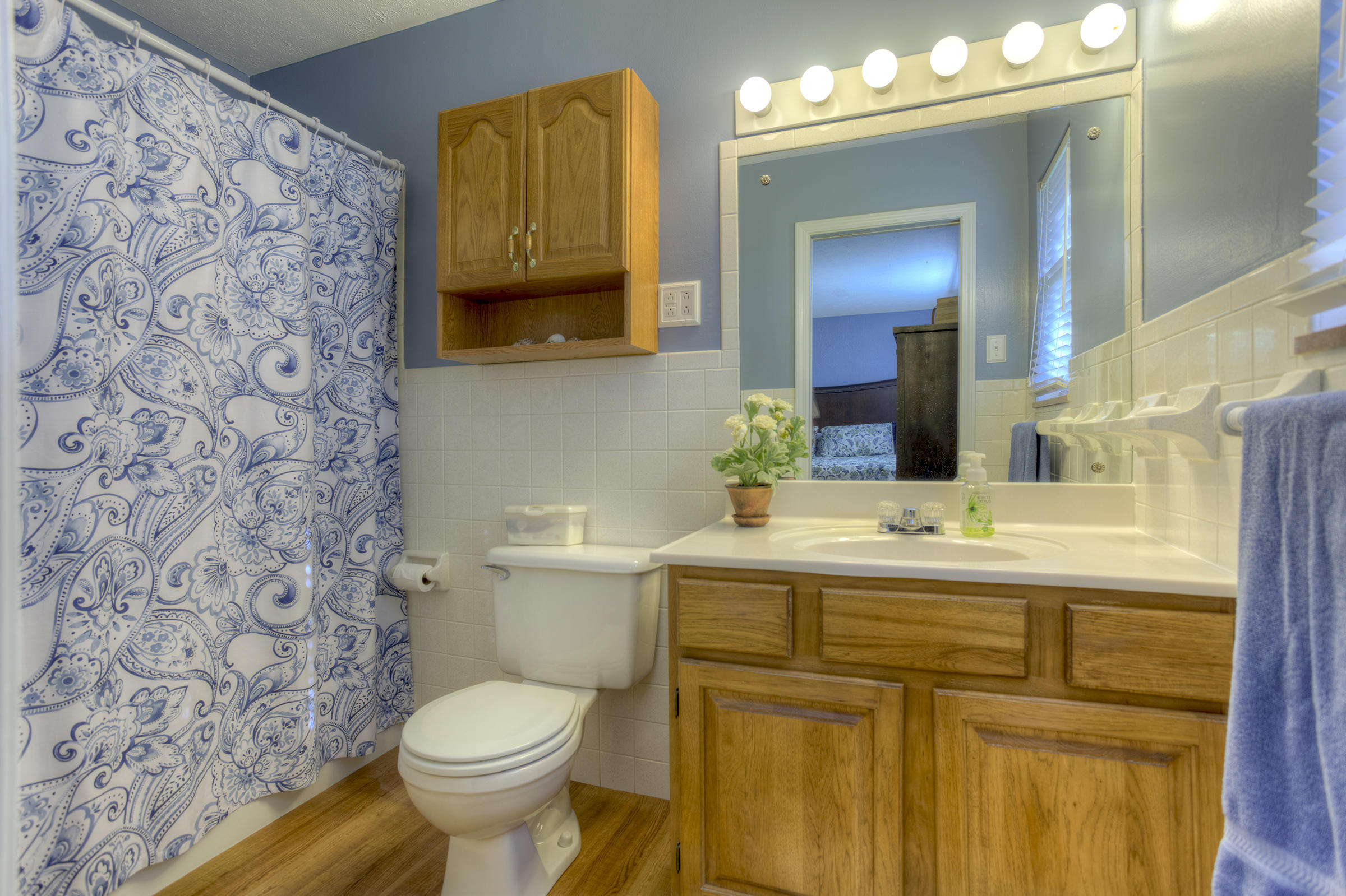 8225 Spruceland Road Powell, TN 37849 - Photo 19 of 40 017_Master Bath
