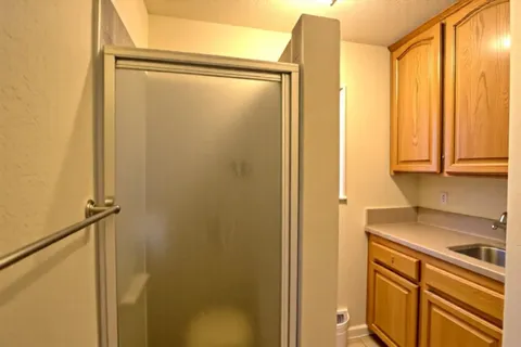 a bathroom with a shower and a sink