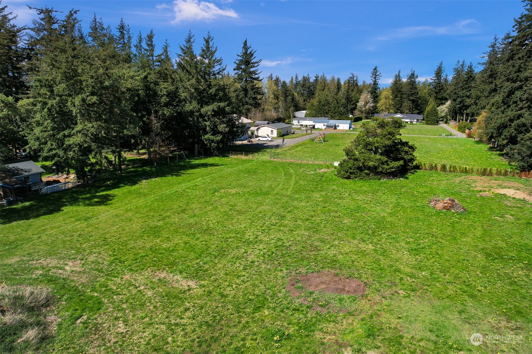 202 East Wiser Lake Road Lynden, WA 98264 - Photo 4 of 12 a view of a park with large trees